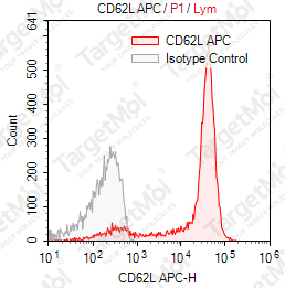 Anti-CD62L Antibody-APC (DREG56)