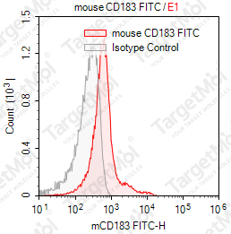 Anti-CD183 Antibody-FITC (CXR3-173)
