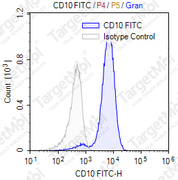 Anti-CD10 Antibody-FITC (CB-CALLA)