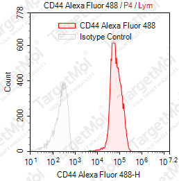 Anti-CD44 Antibody-AF488 (P2A1)