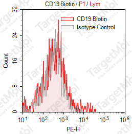 Anti-CD19 Antibody-Biotin (HIB19)