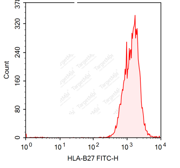 Anti-HLA-B27 Antibody-FITC (ABC.m3)