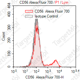 Anti-CD56 Antibody-AF700 (NCAM16.2)