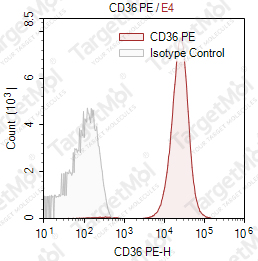 Anti-CD36 Antibody-PE (TR9)