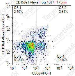 Anti-CD158e1 Antibody-AF488 (DX9)