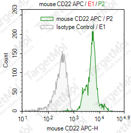 Anti-CD22 Antibody-APC (2D6)