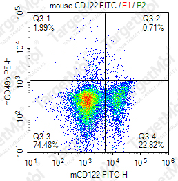Anti-CD122 Antibody-FITC (5H4)