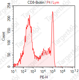 Anti-CD8 Antibody-Biotin (Riv11)