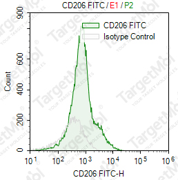 Anti-CD206 Antibody-FITC (15-2)