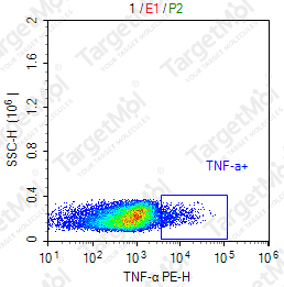 Anti-TNF-α Antibody-PE (MAb11)
