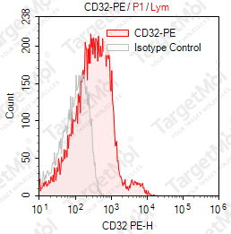 Anti-CD32 Antibody-PE (IV-3)