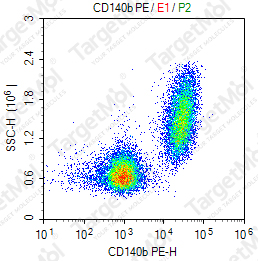 Anti-CD140b Antibody-PE (18A2A3)