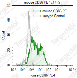 Anti-CD86 Antibody-PE (GL1)