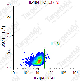 Anti-IL1-beta Antibody-FITC (ILB-H21)