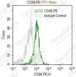 Anti-CD86 Antibody-PE (BU63)