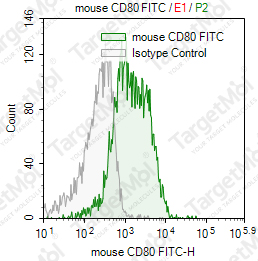 Anti-CD80 Antibody-FITC (16-10A1)