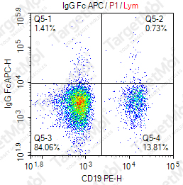 Anti-IgG Fc Antibody-APC (1G4)