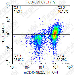 Anti-CD40 Antibody-APC (FGK45)