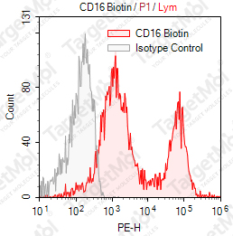 Anti-CD16 Antibody-Biotin (3G8)