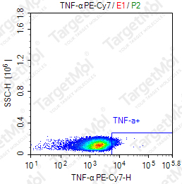 Anti-TNF-α Antibody-PE-Cy7 (TN3-19.12)