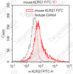 Anti-KLRG1 Antibody-FITC (2F1/KLRG1)