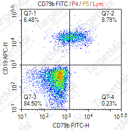 Anti-CD79b Antibody-FITC (CB3-1)