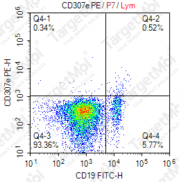 Anti-CD307e Antibody-PE (509F6)