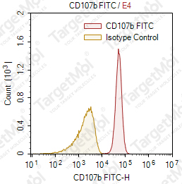 Anti-CD107b Antibody-FITC (H4B4)