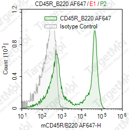 Anti-CD45R/B220 Antibody-AF647 (RA3-6B2)