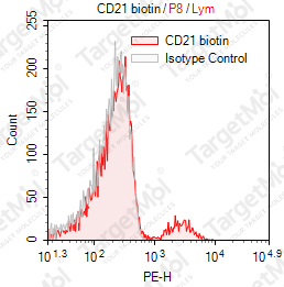 Anti-CD21 Antibody-Biotin (BU32)