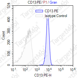 Anti-CD13 Antibody-PE (46A11E3)