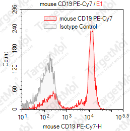 Anti-CD19 Antibody-PE-Cy7 (6D5)
