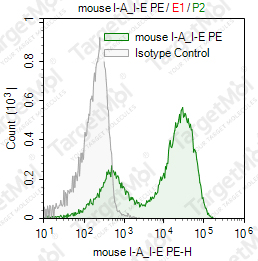 Anti-I-A/I-E Antibody-PE (M5/114.15.2)