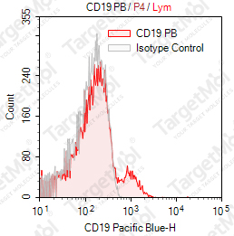 Anti-CD19 Antibody-Pacific Blue (HIB19)