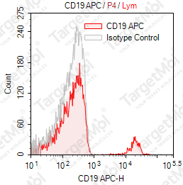 Anti-CD19 Antibody-APC (HIB19)