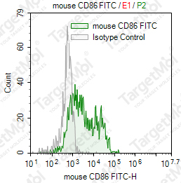 Anti-CD86 Antibody-FITC (GL1)