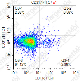Anti-CD317 Antibody-FITC (927)