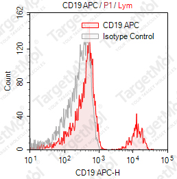Anti-CD19 Antibody-APC (SJ25-C1)