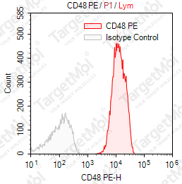 Anti-CD48 Antibody-PE (BJ40)