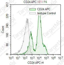 Anti-CD24 Antibody-APC (91)