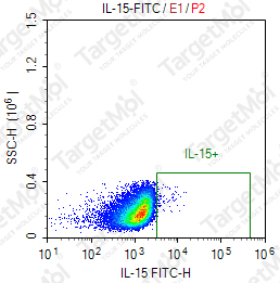 Anti-IL-15 Antibody-FITC (HIL-15-M110)