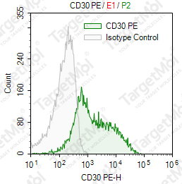 Anti-CD30 Antibody-PE (BY88)