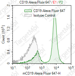 Anti-CD19 Antibody-AF647 (1D3)