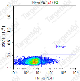 Anti-TNF-α Antibody-PE (F6)