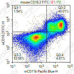 Anti-CD16.2 Antibody-FITC (9E9)