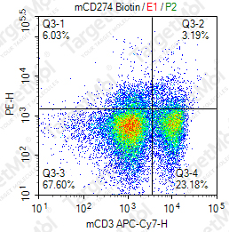 Anti-CD274 Antibody-Biotin (10F.9G2)