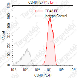 Anti-CD48 Antibody-PE (156-4H9)
