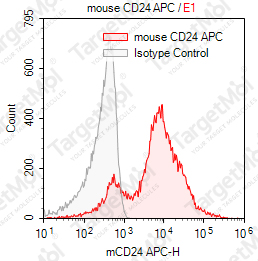 Anti-CD24 Antibody-APC (M1/69)