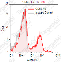 Anti-CD56 Antibody-PE (MEM188)