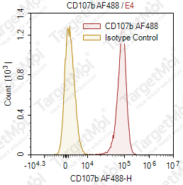 Anti-CD107b Antibody-AF488 (H4B4)